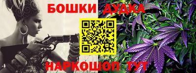 шишки Можга