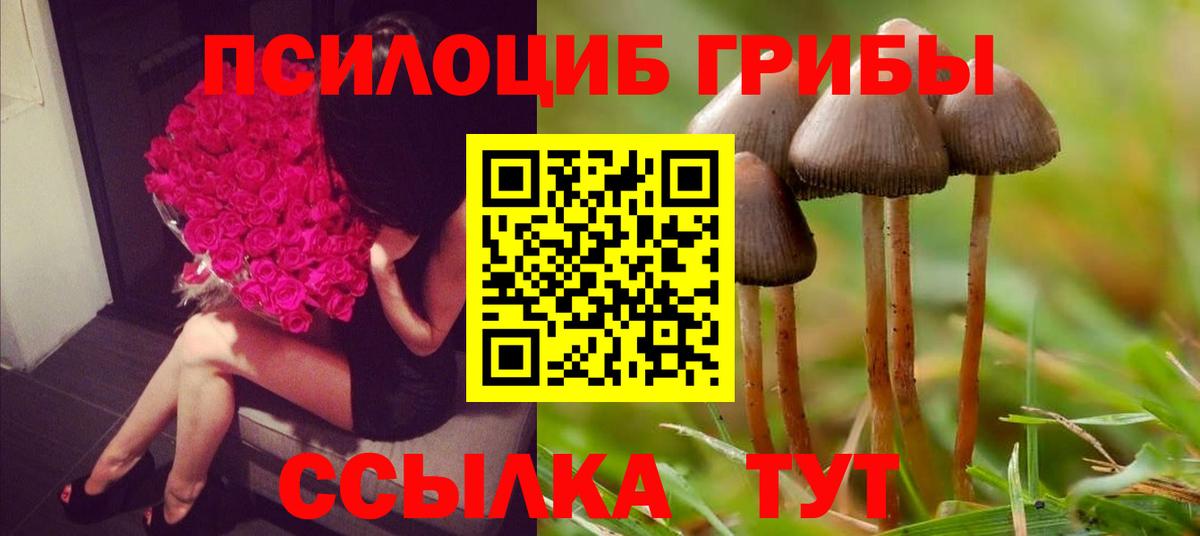 Галлюциногенные грибы мухоморы  Вход с VPN  Соль-Илецк 